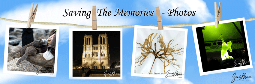 Sandy Moniz Saving the memories - Photos, Sandy Moniz Traveler / Author / Imagineer