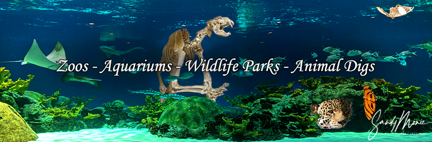 Sandy Moniz Zoos and Aquariums, Sandy Moniz Traveler / Author / Imagineer
